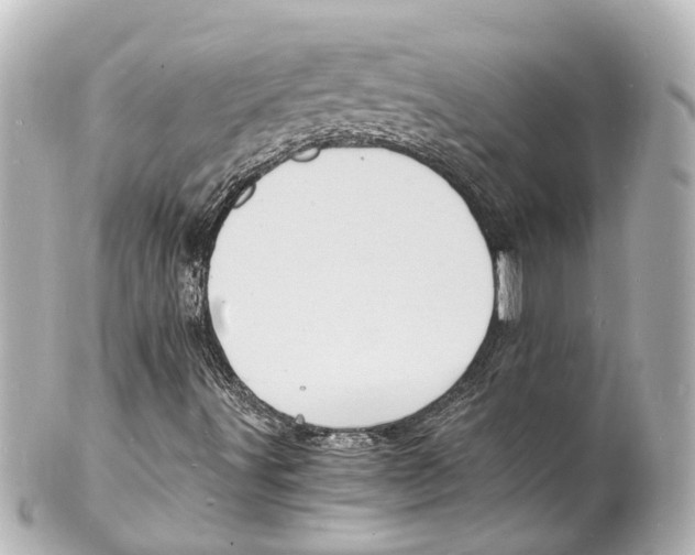 X0000101481491200808041116