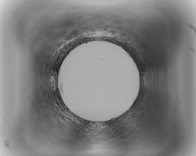 X0000101481493200808041116