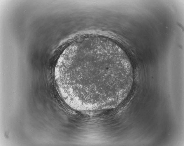 X0000101481494200808041116