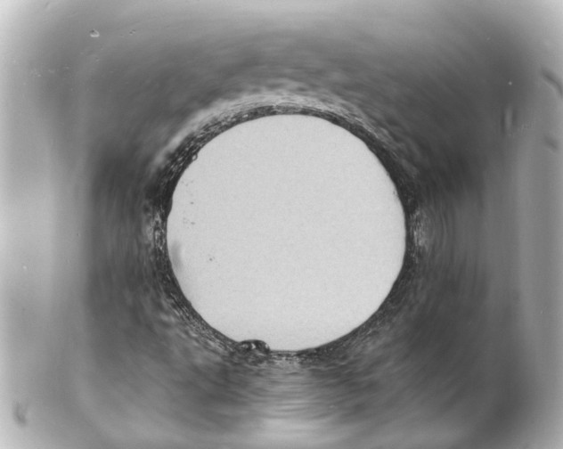 X0000101481495200808041116