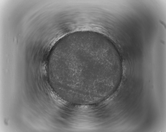 X0000101481497200808041116