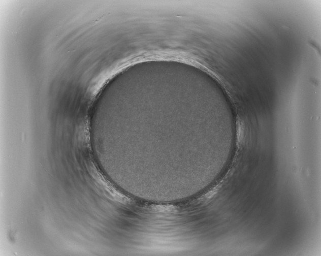 X0000101481498200808041116