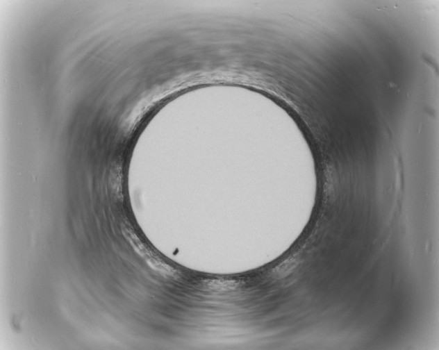 X0000101481499200808041116