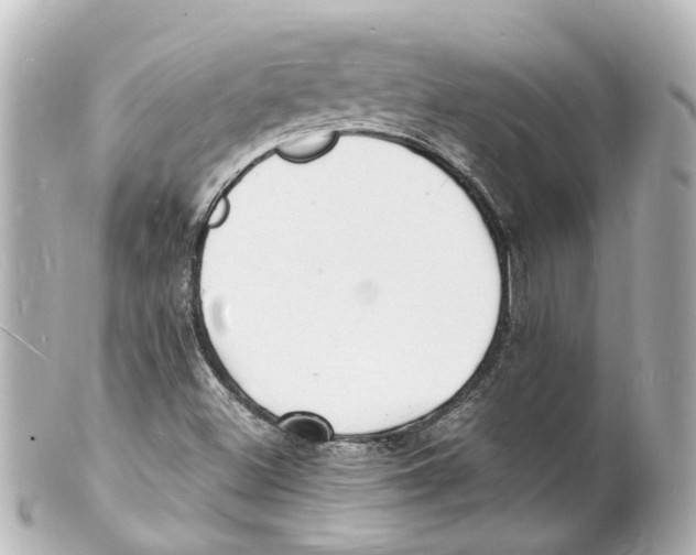 X0000101481500200808041116