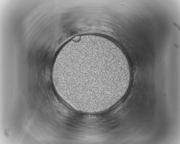 X0000101481505200808041116