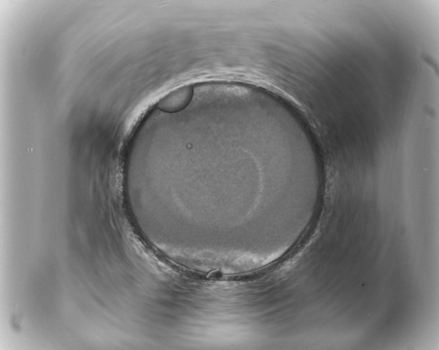 X0000101481506200808041116