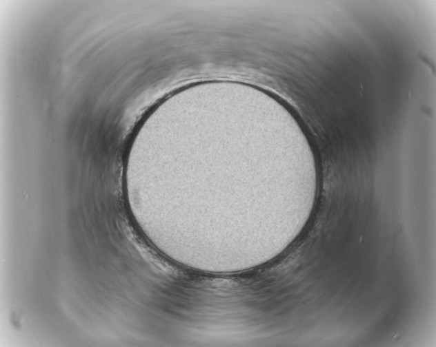 X0000101481507200808041116