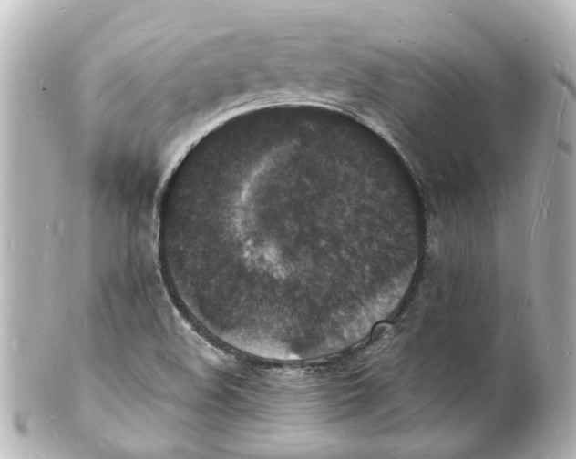 X0000101481508200808041116