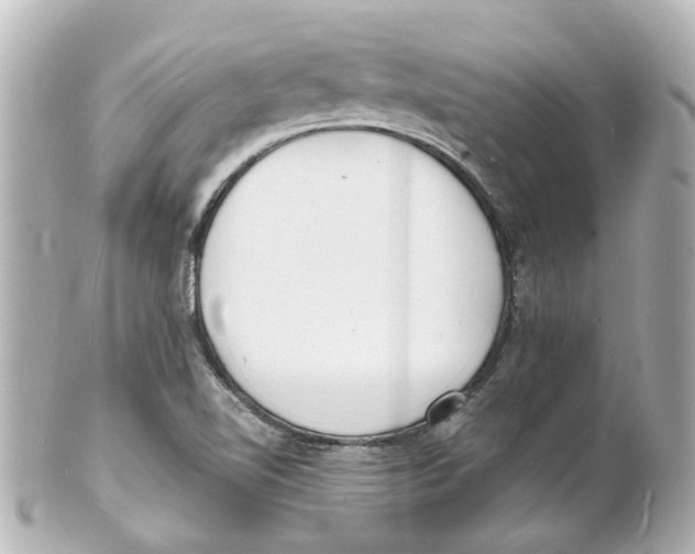 X0000101481510200808041116