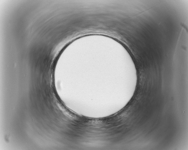 X0000101481511200808041116