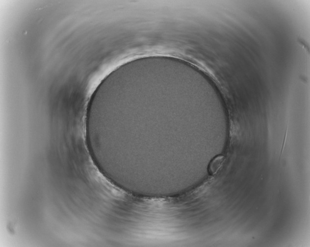 X0000101481512200808041117