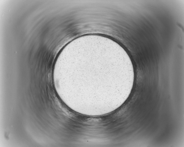 X0000101481513200808041117