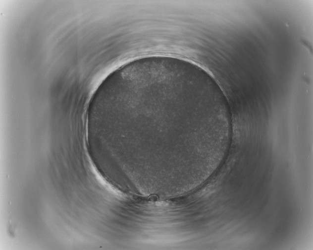 X0000101481515200808041117