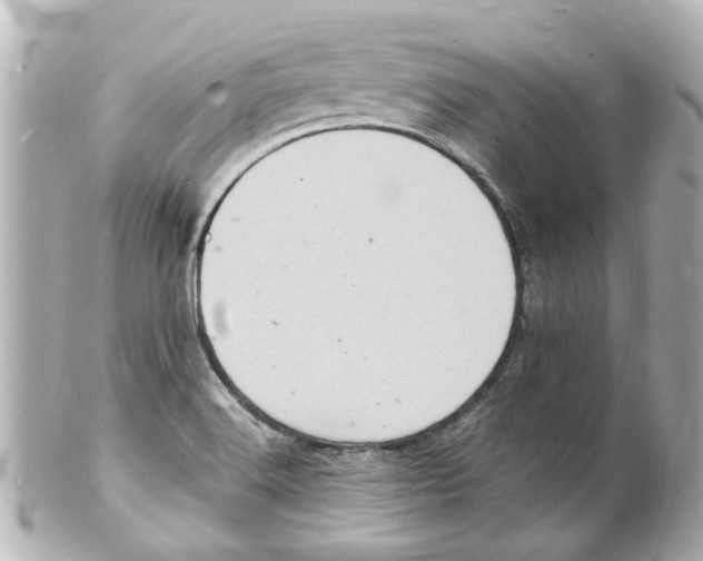 X0000101481516200808041117