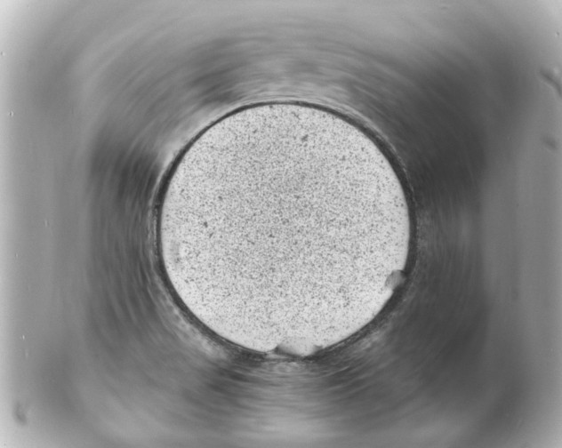 X0000101481517200808041117