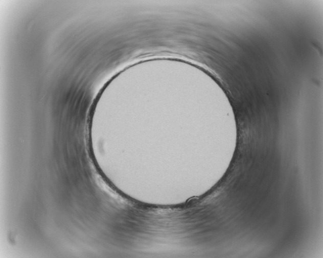 X0000101481518200808041117