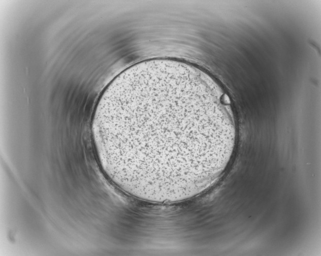 X0000101481521200808041117