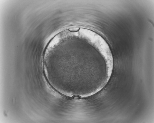 X0000101481522200808041117