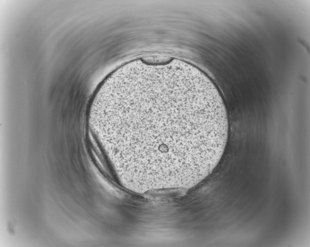 X0000101481523200808041117