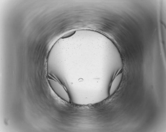 X0000101481524200808041117