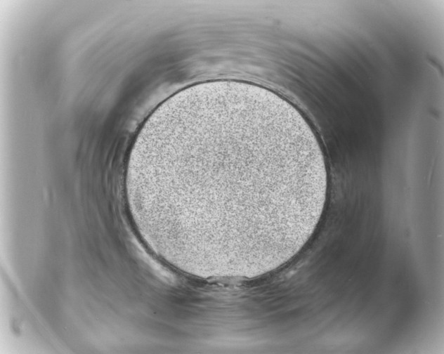 X0000101481525200808041117