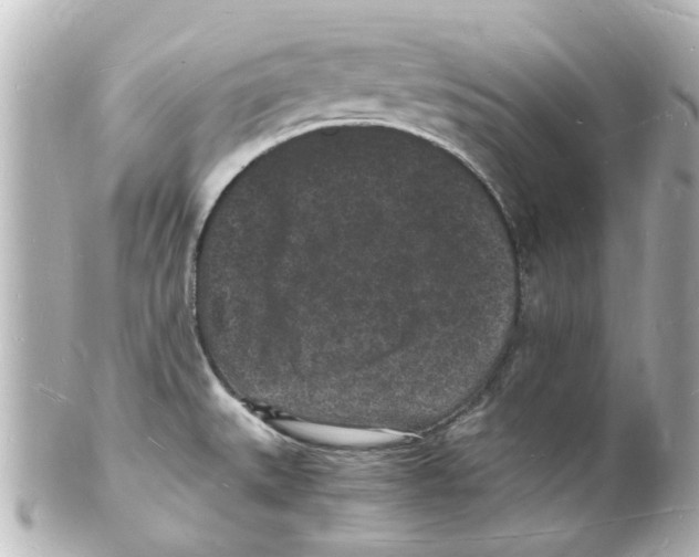 X0000101481527200808041117