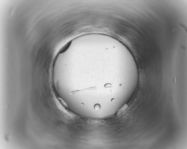 X0000101481528200808041117