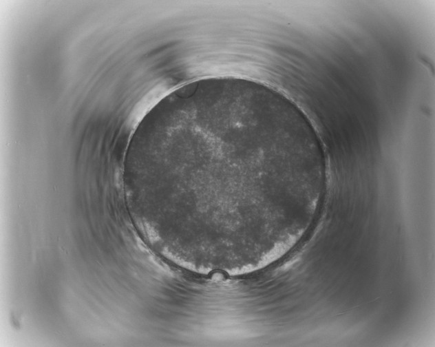 X0000101481529200808041117