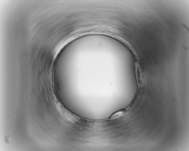 X0000101481530200808041117