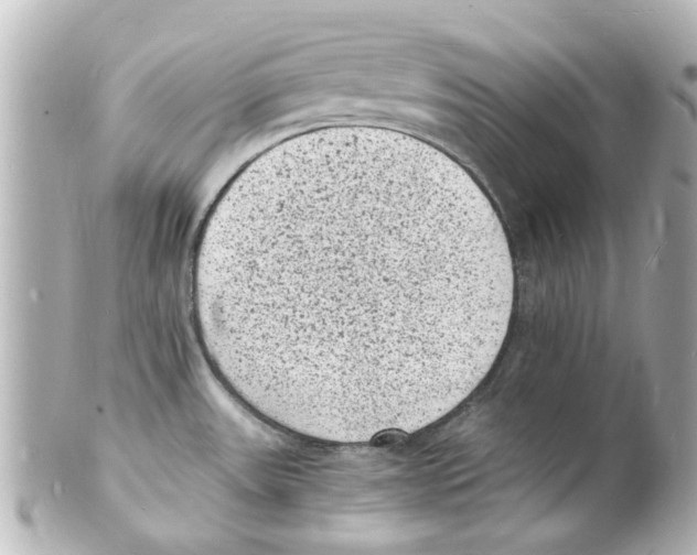 X0000101481531200808041117