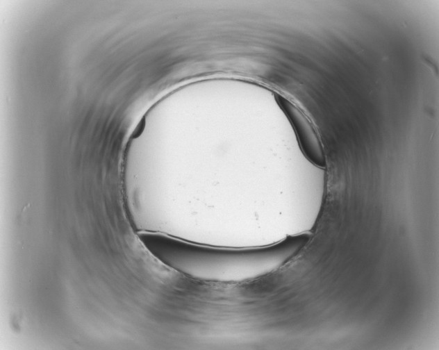 X0000101481532200808041117