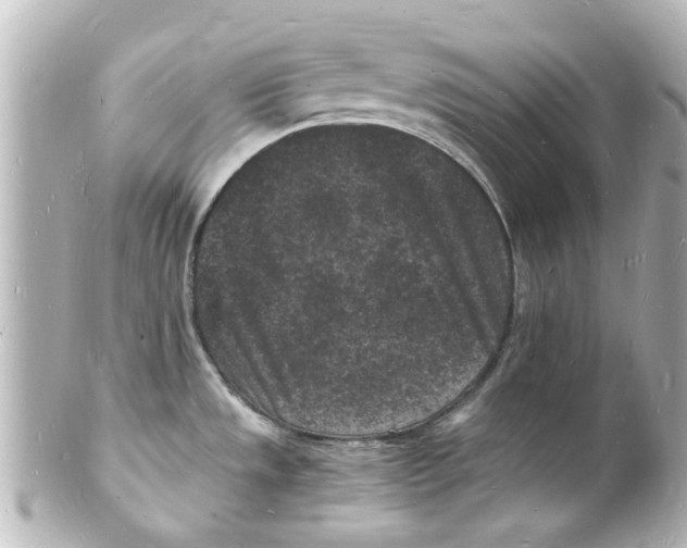 X0000101481533200808041117