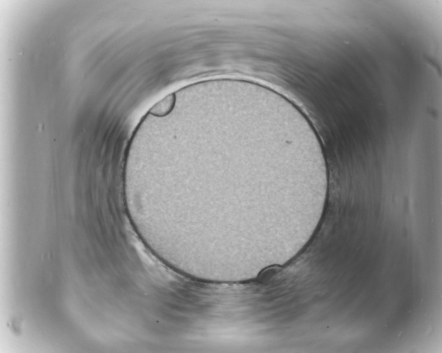 X0000101481534200808041117