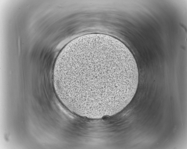 X0000101481535200808041117