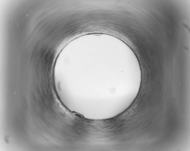 X0000101481536200808041117