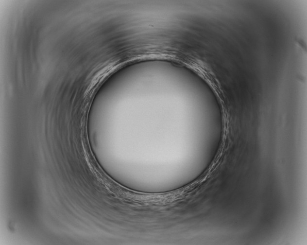 X0000101650001200807100950