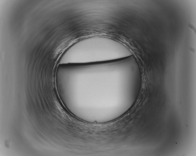 X0000101650002200807100950