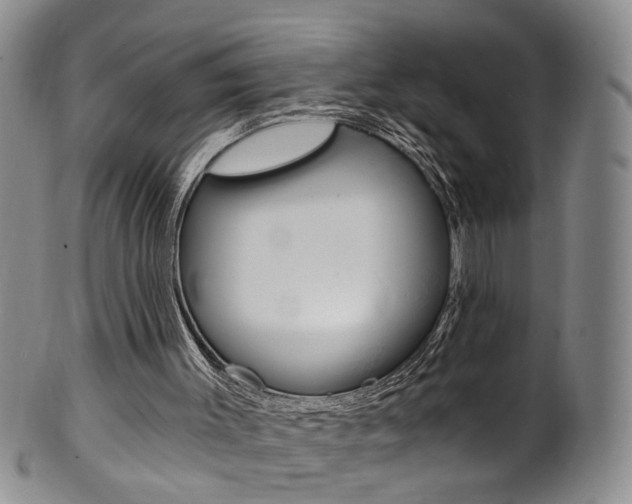 X0000101650003200807100950