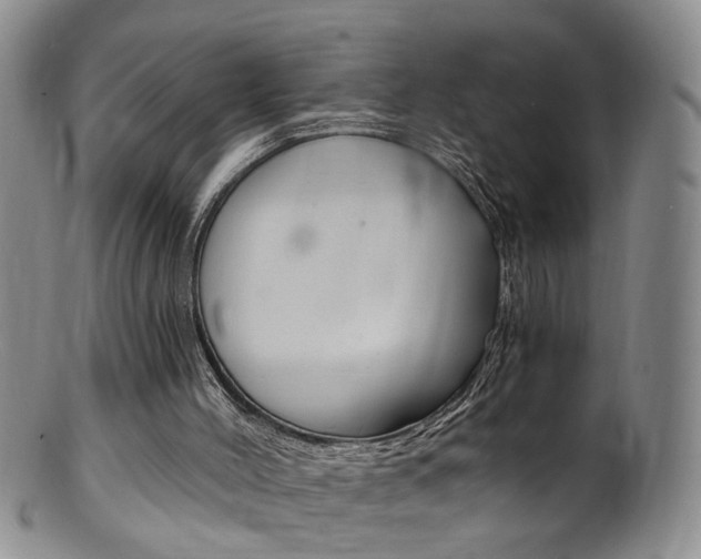 X0000101650004200807100950