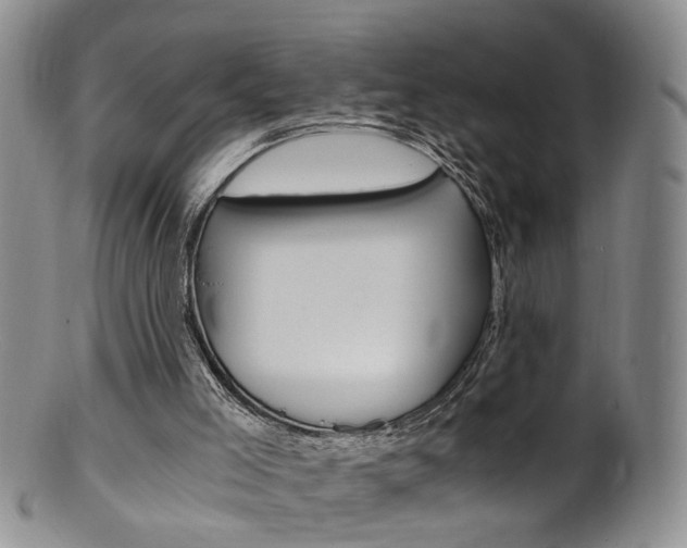 X0000101650005200807100950