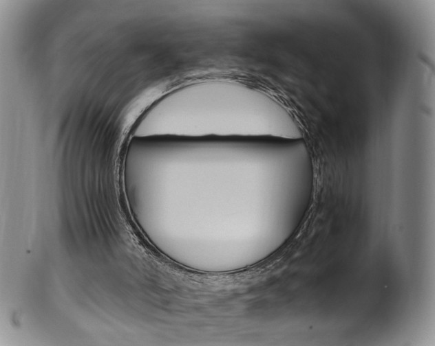 X0000101650006200807100950