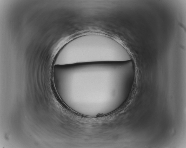 X0000101650007200807100950