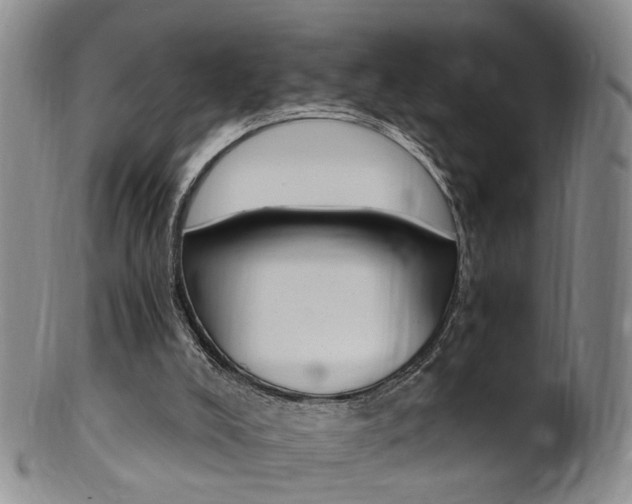 X0000101650008200807100950