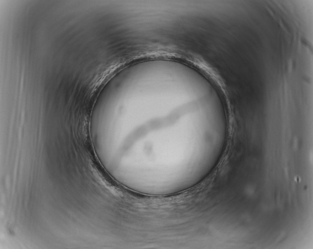 X0000101650009200807100950