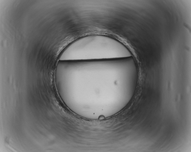 X0000101650010200807100950
