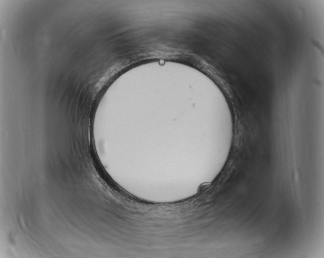 X0000101650011200807100950