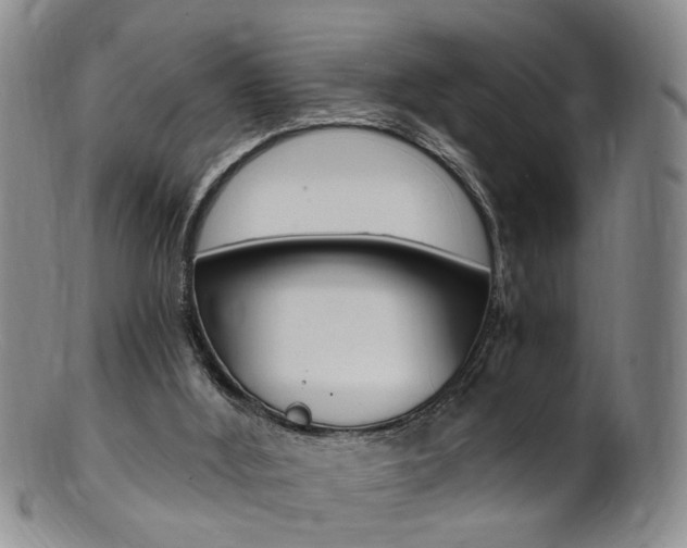 X0000101650012200807100950