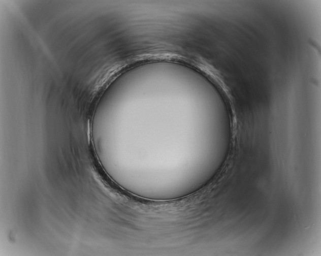 X0000101650013200807100950