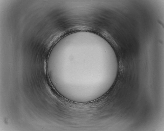 X0000101650014200807100950