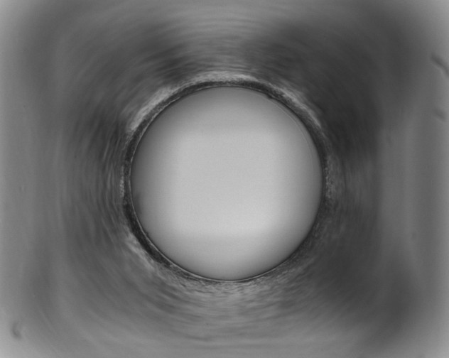 X0000101650015200807100950